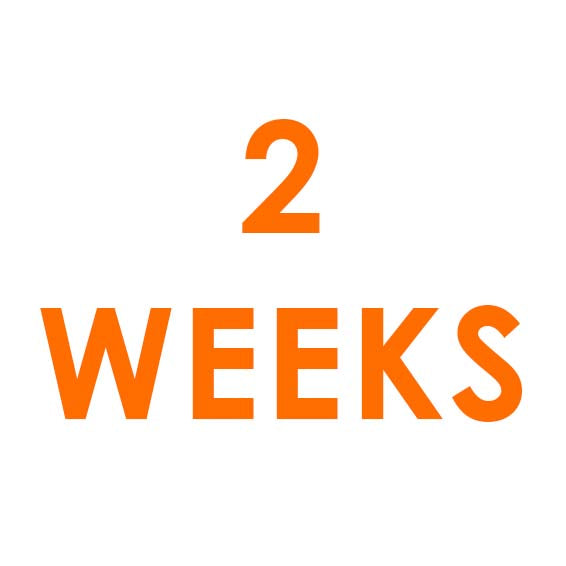 2 Weeks Rental = SGD100 + SGD100 Refundable Deposit