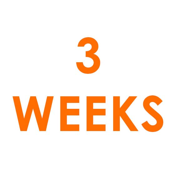 3 Weeks Rental = SGD120 + SGD100 Refundable Deposit